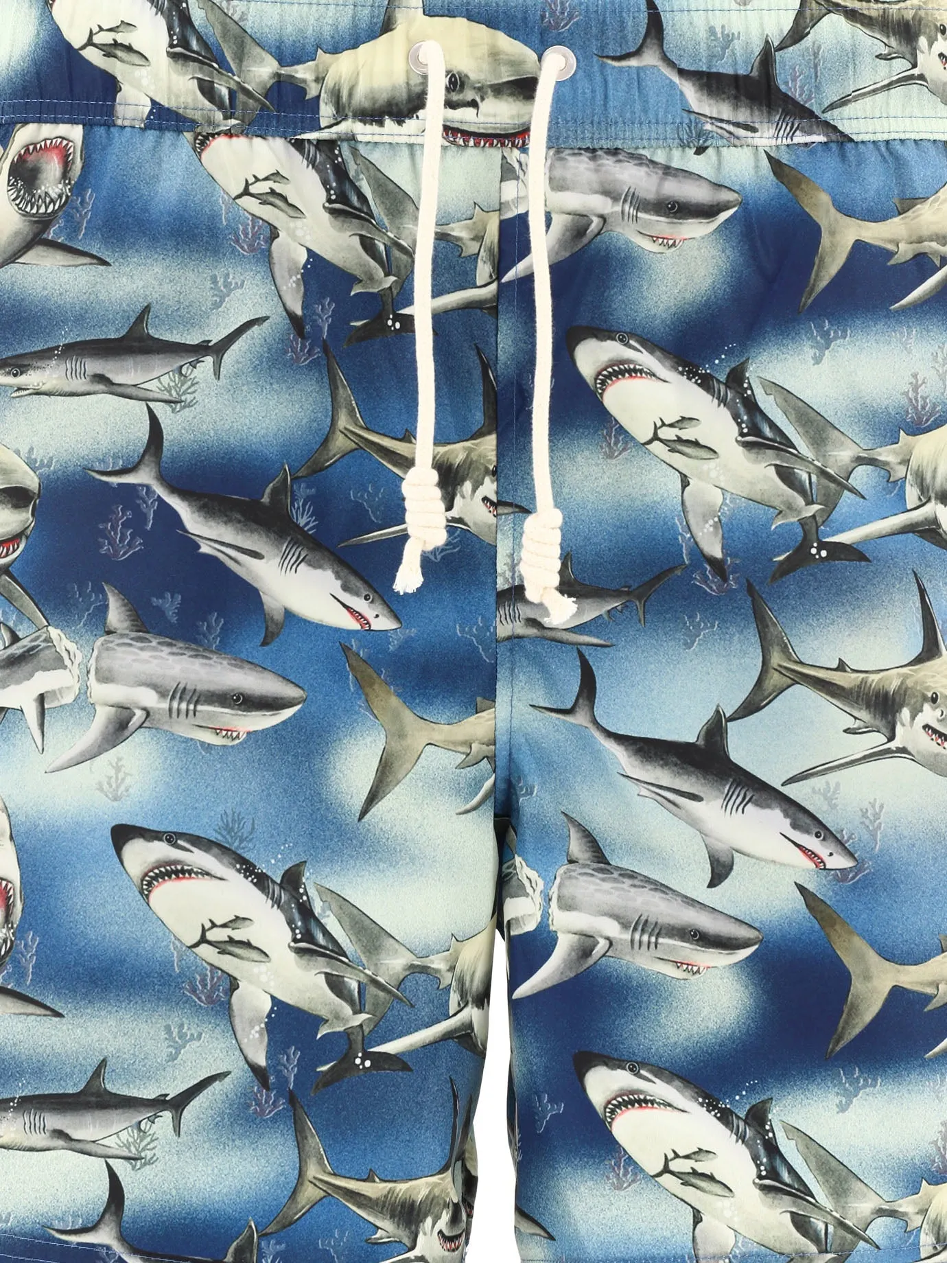 "SHARKS" SWIMSHORTS